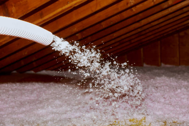 Best Insulation Maintenance and Repair in Watertown, TN
